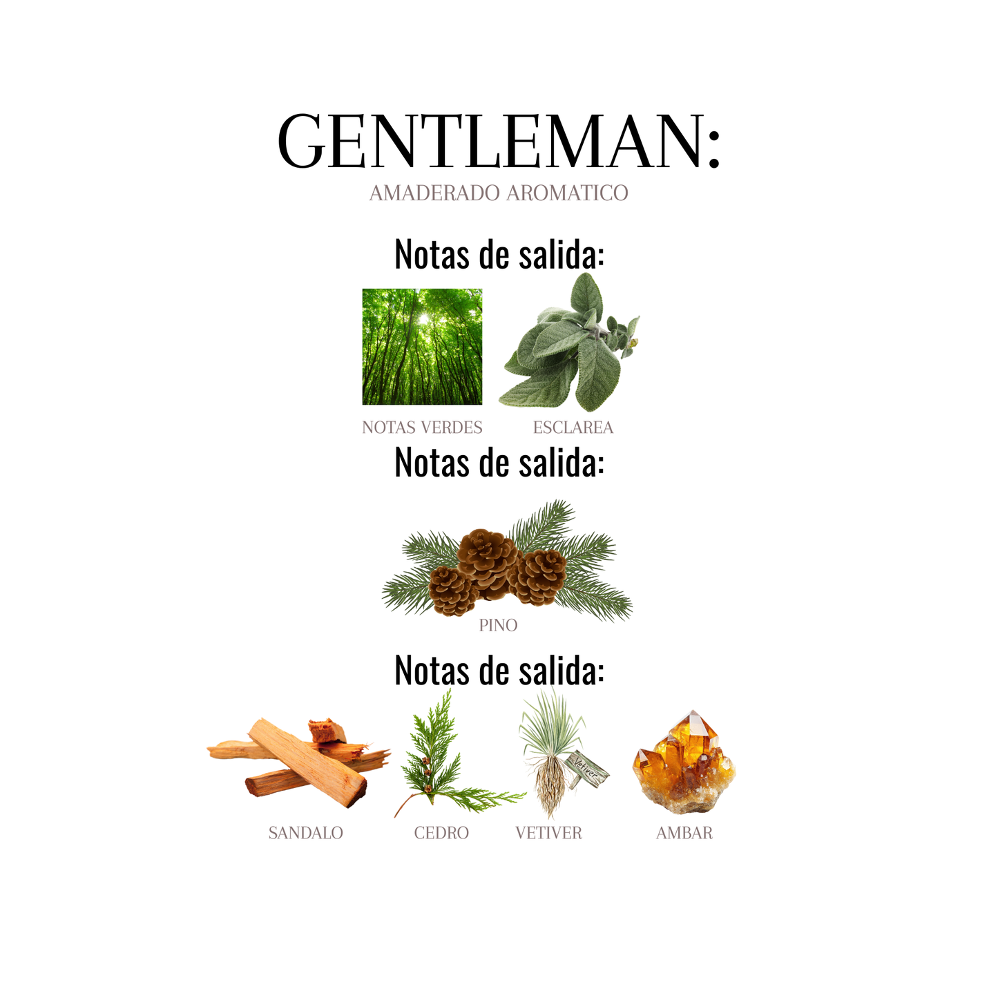 GENTLEMAN
