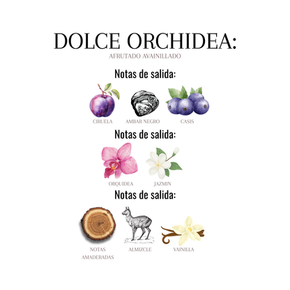 DOLCE ORCHIDEA