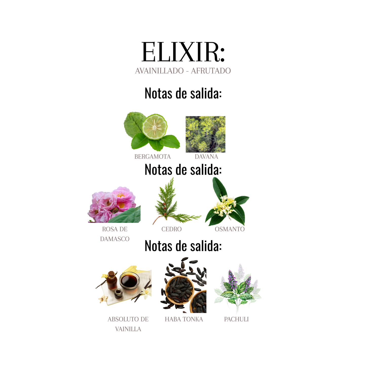ELIXIR