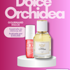 DOLCE ORCHIDEA