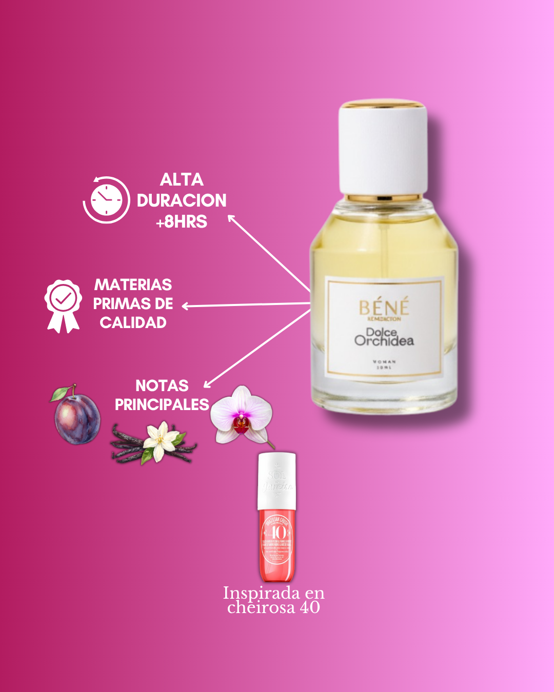 DOLCE ORCHIDEA