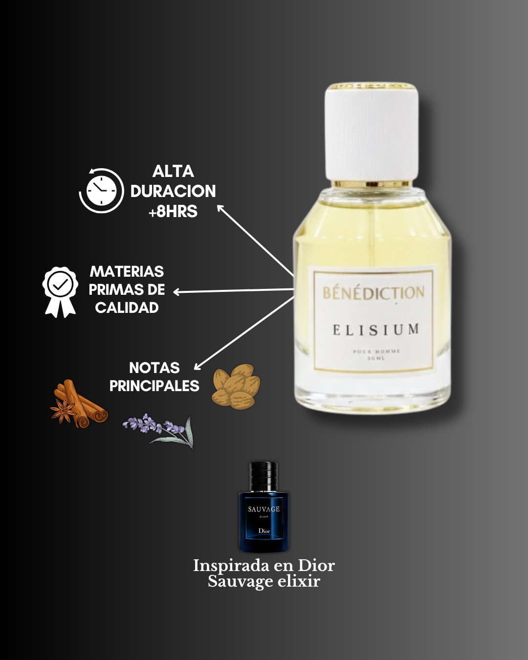 ELISIUM