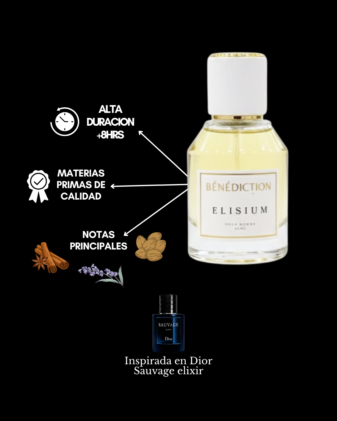 ELISIUM