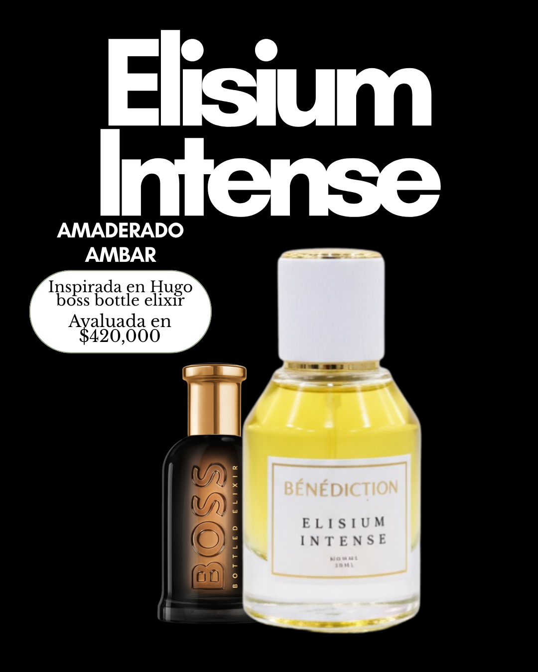 ELISIUM INTENSE