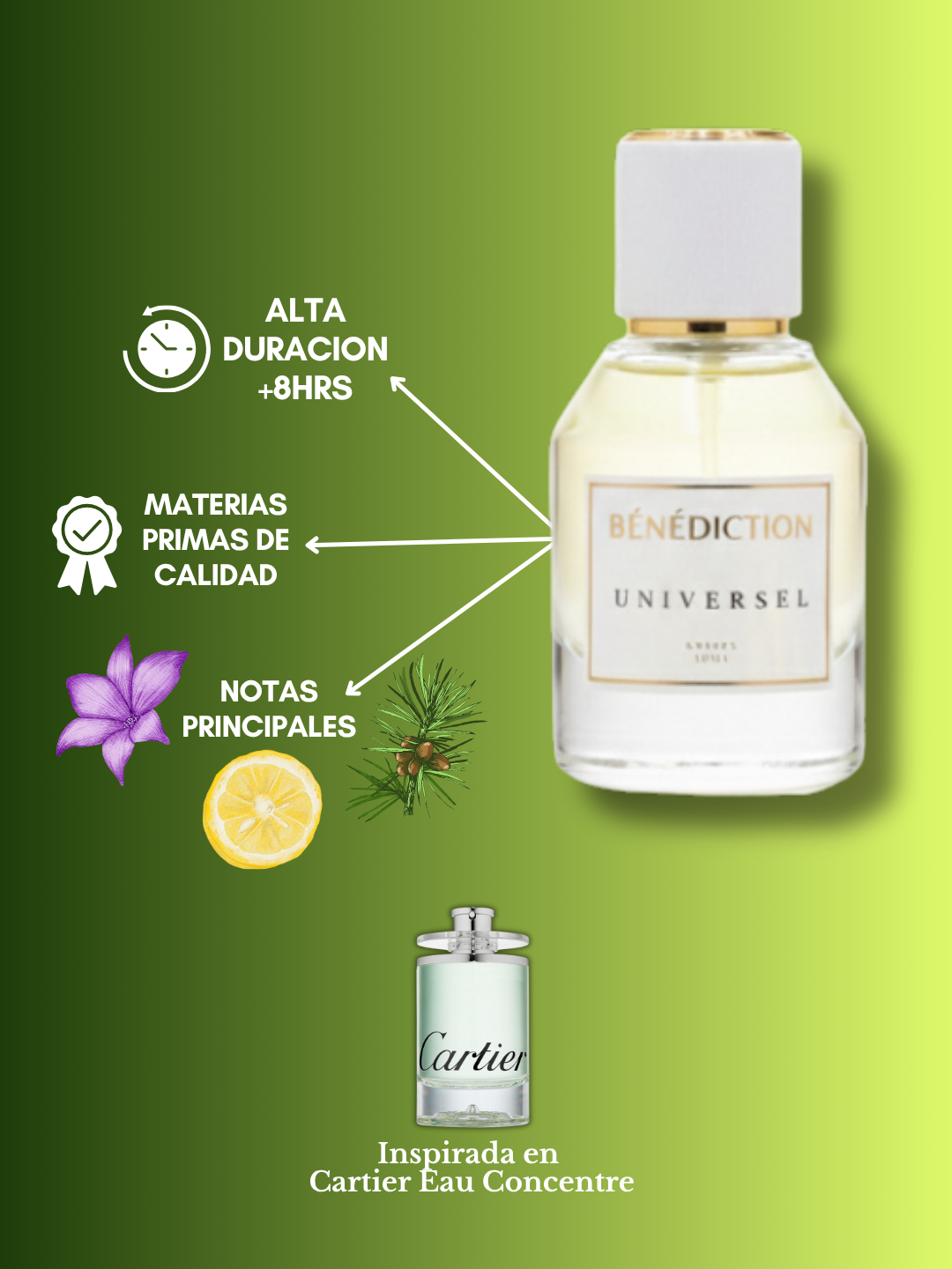 UNIVERSEL
