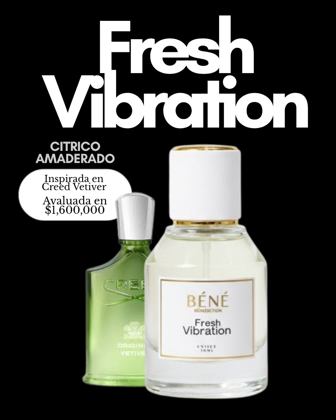 FRESH VIBRATION