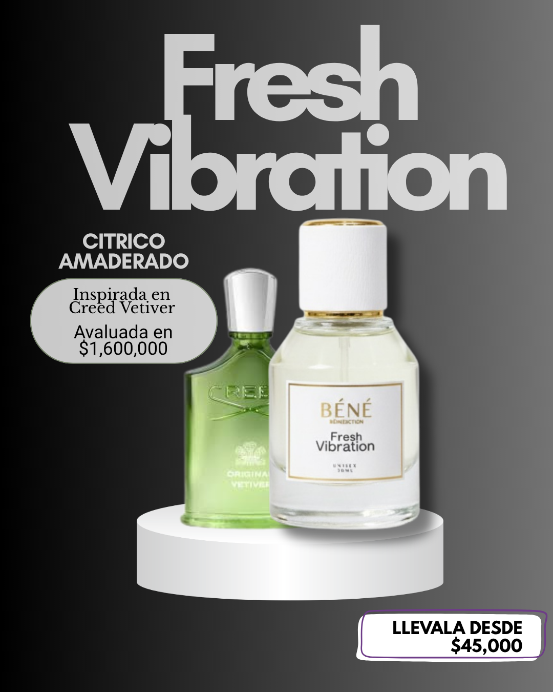 FRESH VIBRATION