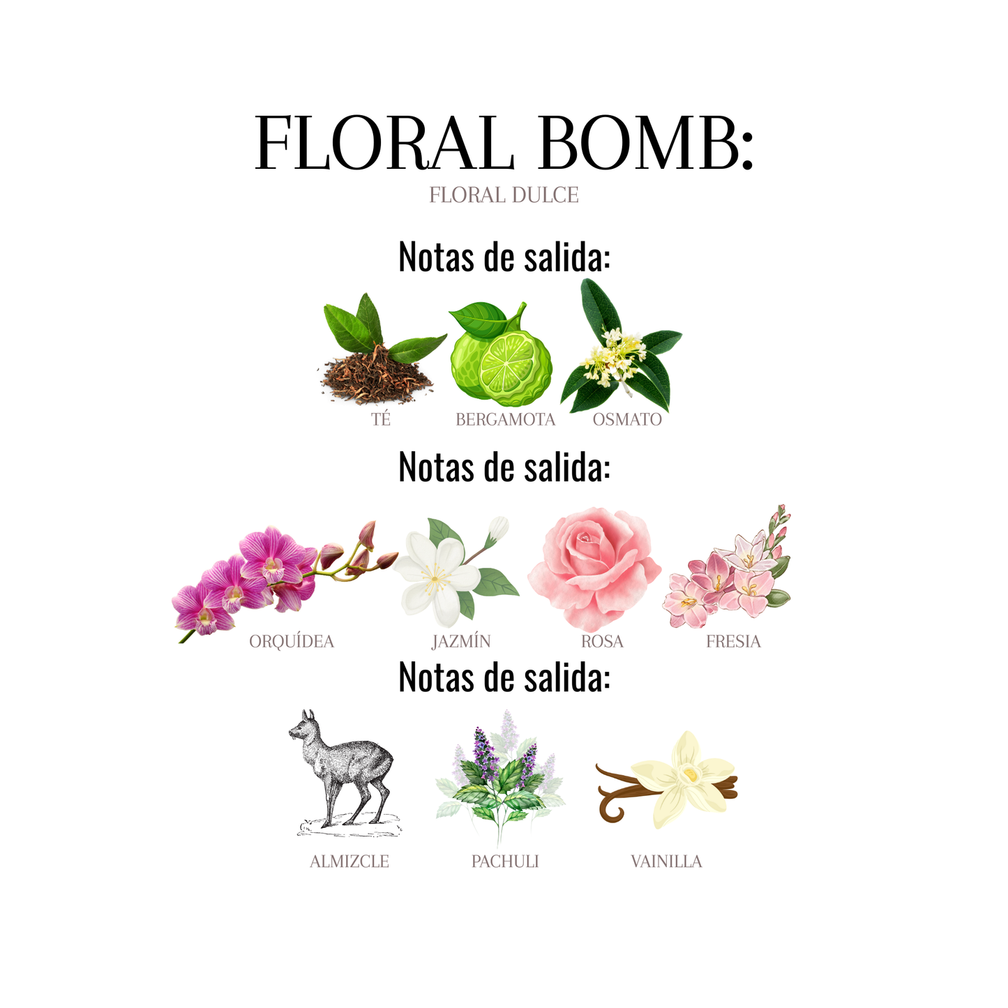 FLORAL BOMB
