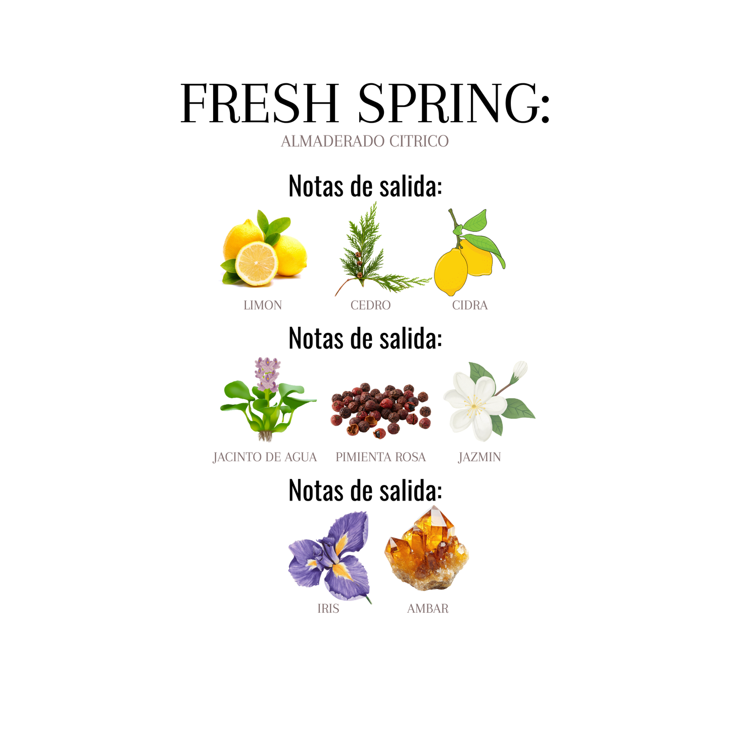 FRESH SPRING