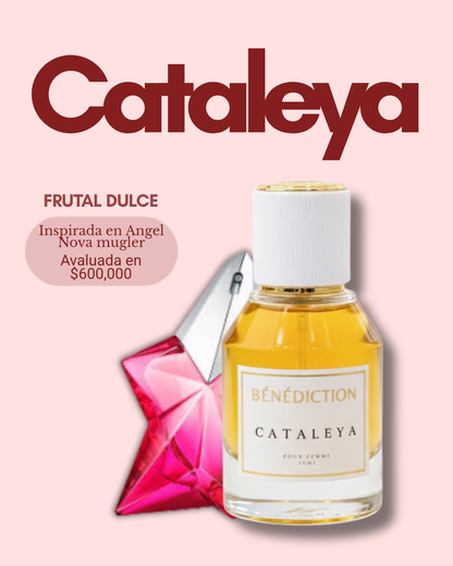 CATALEYA