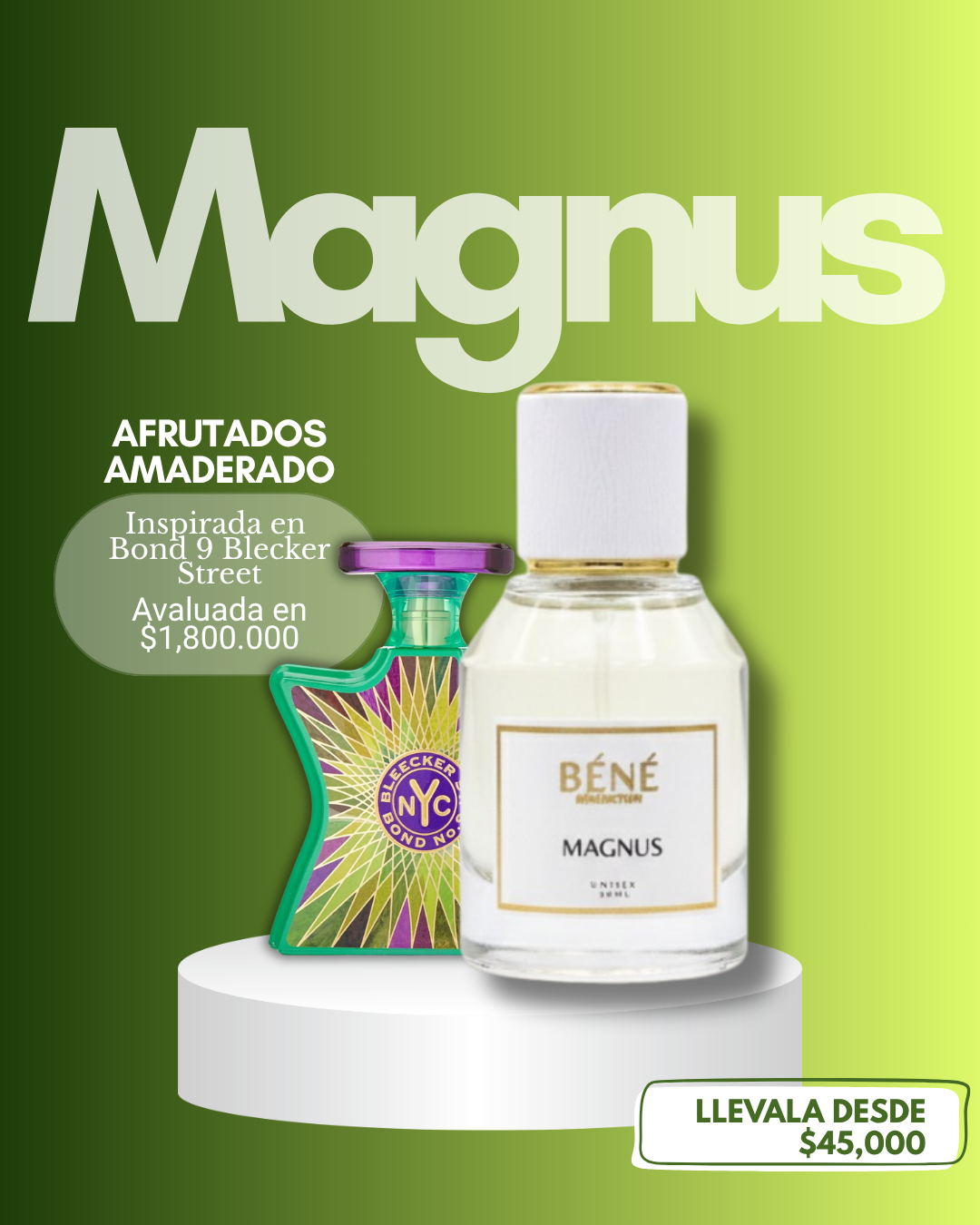 MAGNUS