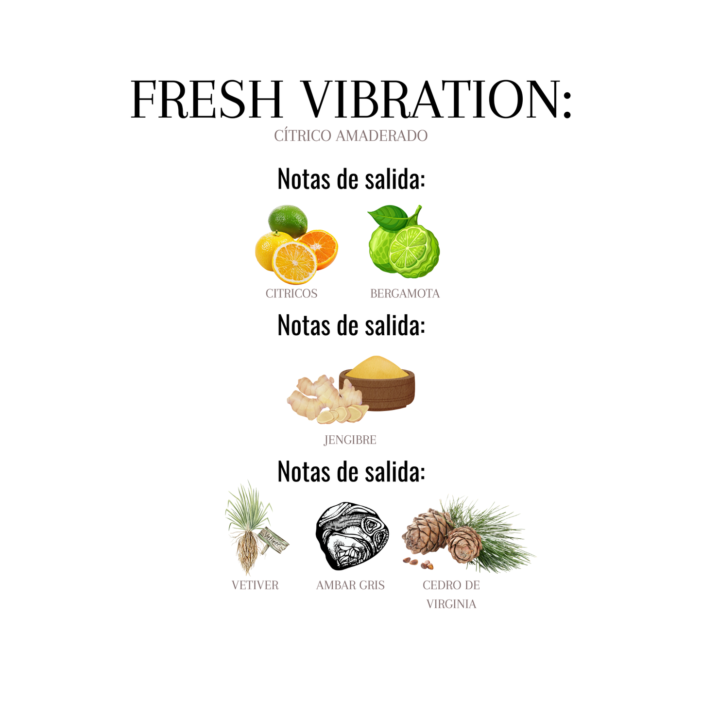 FRESH VIBRATION