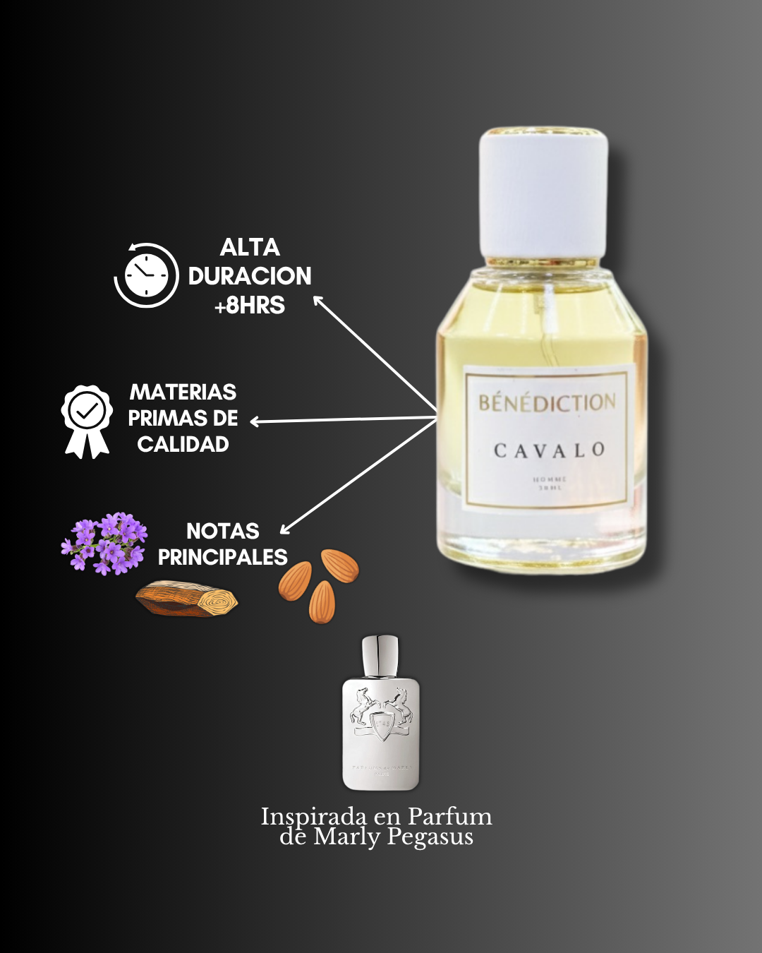 CAVALO