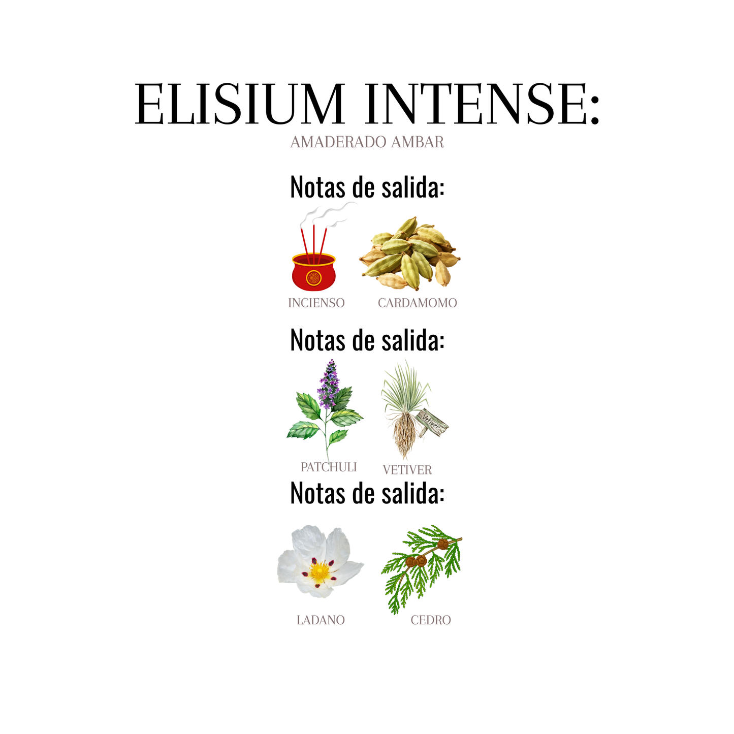 ELISIUM INTENSE