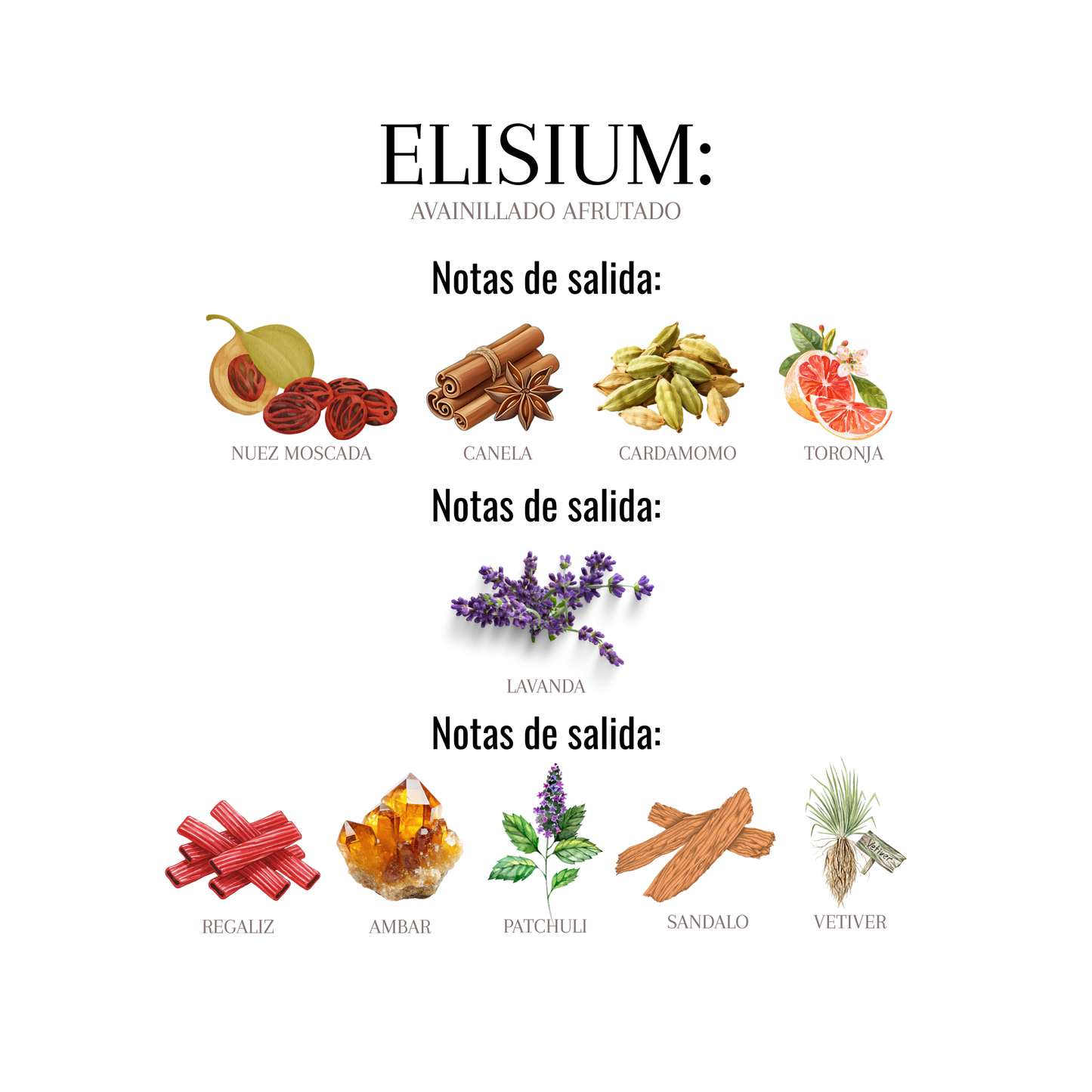 ELISIUM