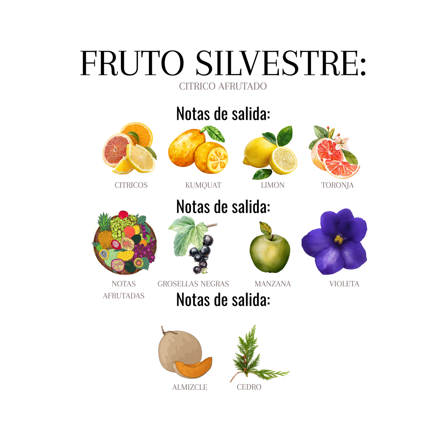 FRUTO SILVESTRE